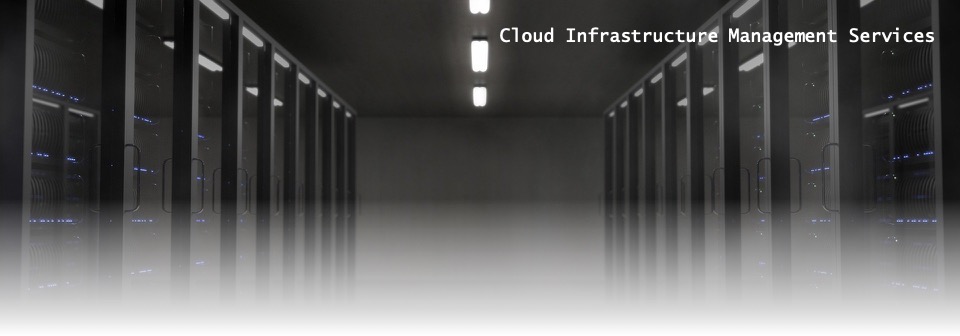 Cloud Infrastructure Management Services